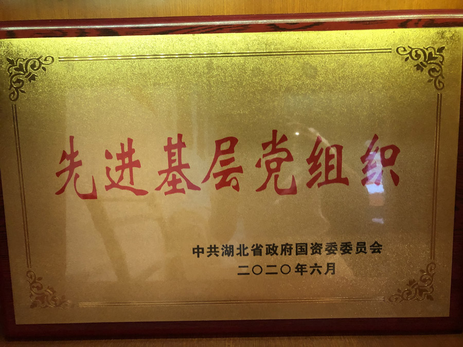 2020年6月，被省國(guó)資委評(píng)為“先進(jìn)基層黨組織”